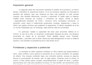 beta read your novel with detailed feedback